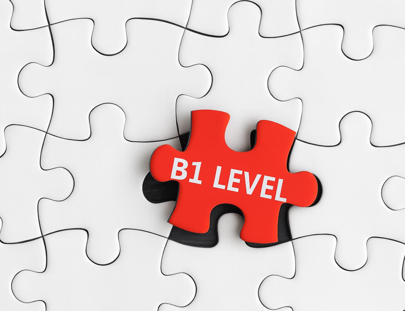 B1